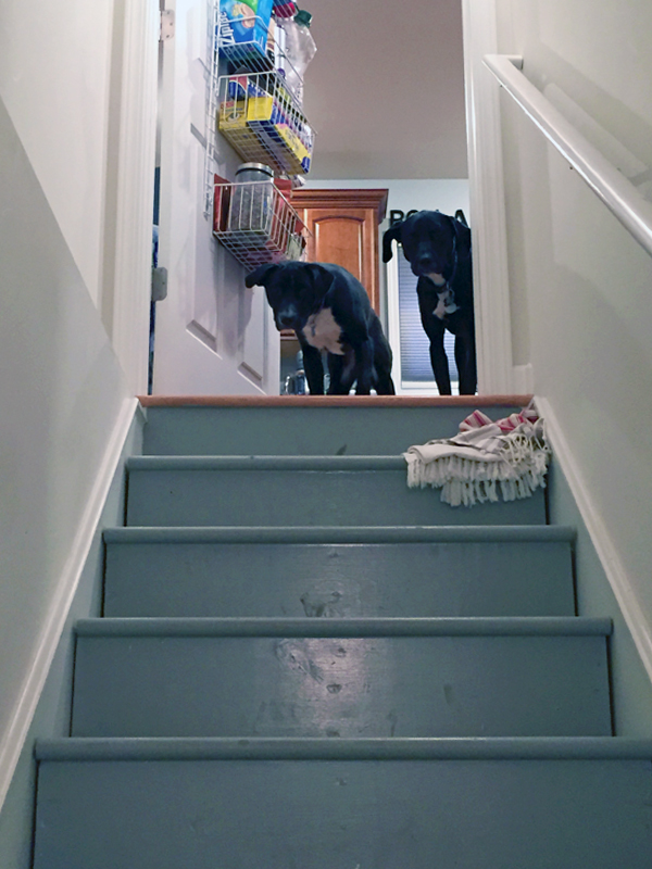 Our Home: An Update on the Walkin Pantry | The Charming Detroiter
