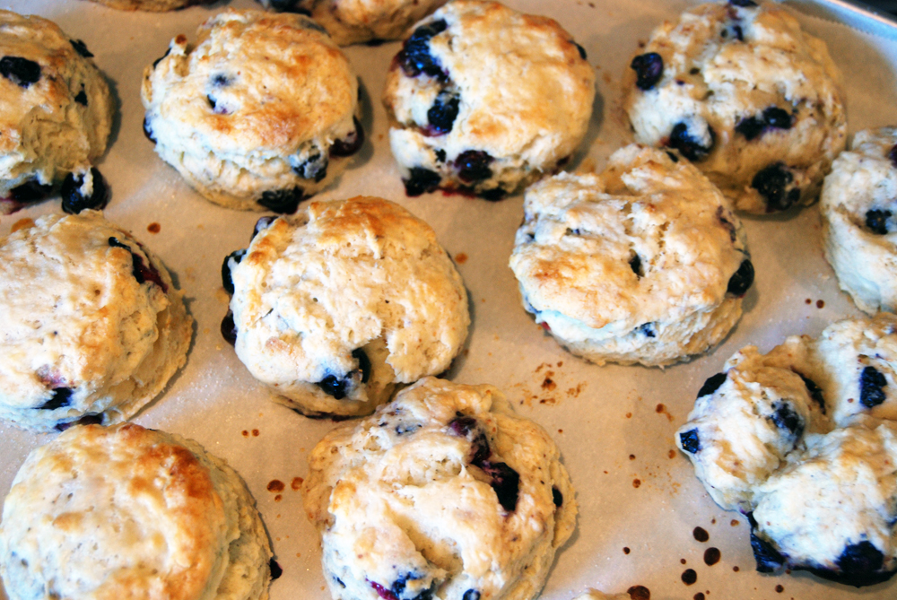 Maple Blueberry Scones | The Charming Detroiter