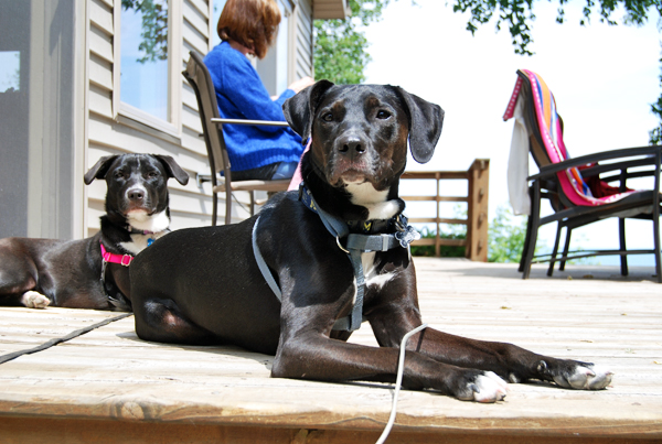 Monday Musings | The Charming Detroiter