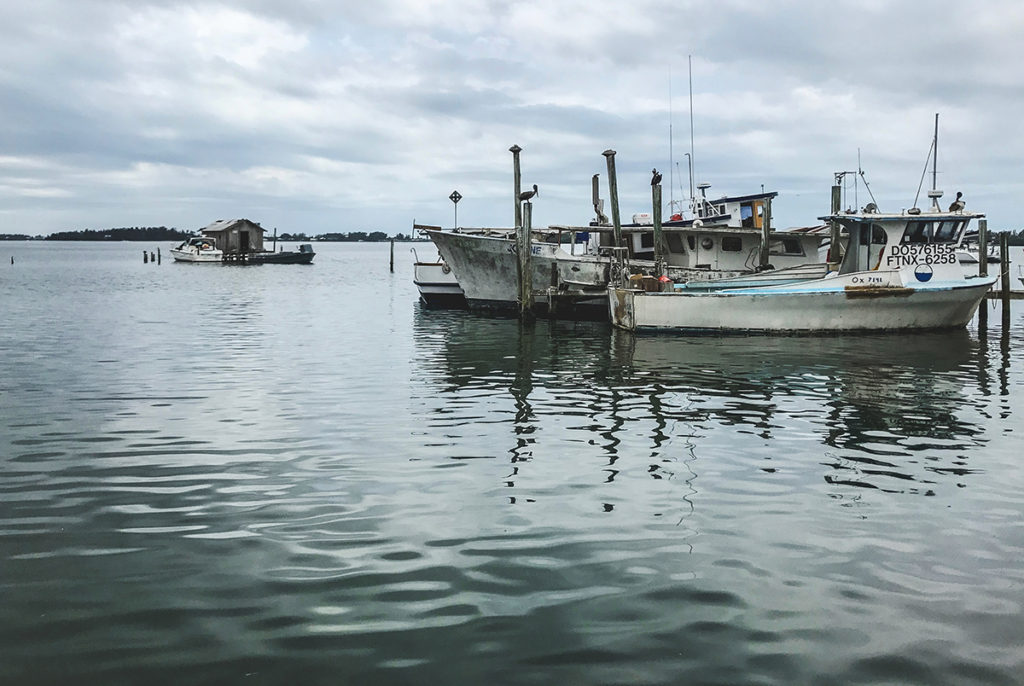 Come spend a long weekend with us in Anna Maria Island, Florida, where the beaches are supreme, the food is fantastic, the time passes oh so slowly, and the rain only lasts ten minutes (usually)!