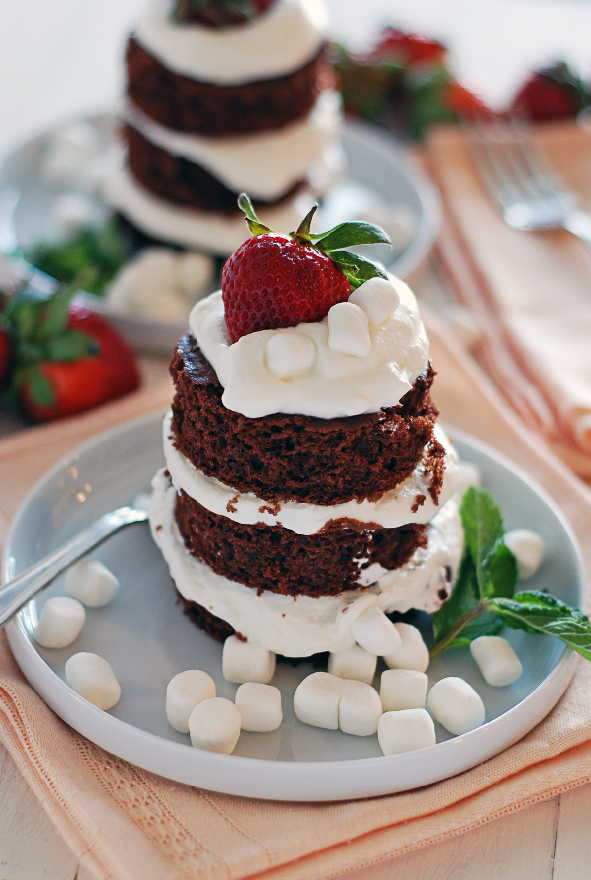 Mini Chocolate Cakes With Marshmallow Mint Whipped Cream - The Charming ...