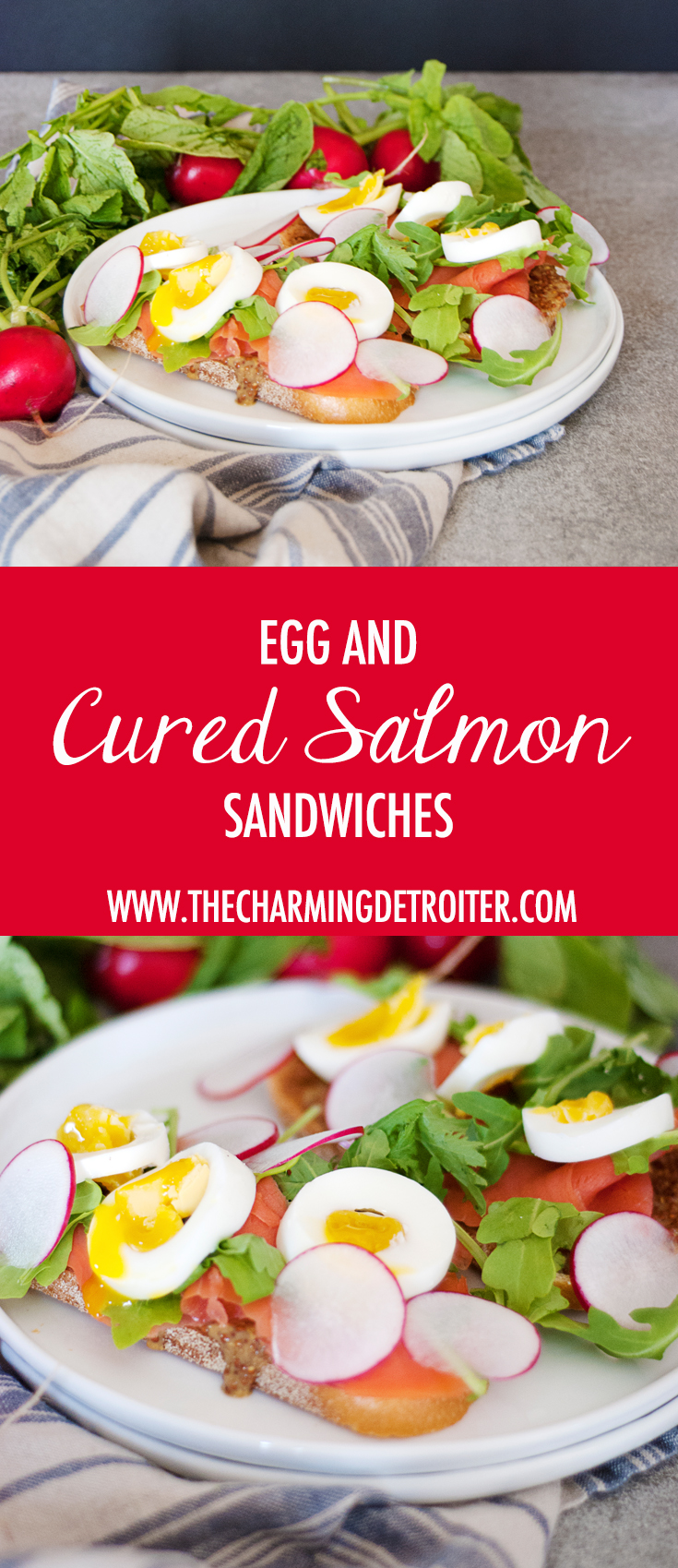 The perfect lunch: egg and cured salmon sandwiches featuring soft boiled eggs, cured salmon, fresh radishes and arugula, and a mustard sauce.