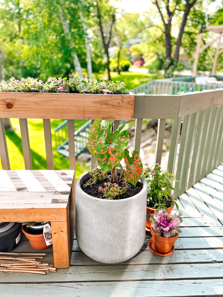Spring Deck Decor Updates - The Charming Detroiter